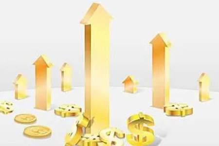 财经直播老杨是谁